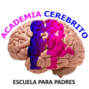 Academia Cerebrito 2732 x 2732 Px_sin_fondo_OCT2023